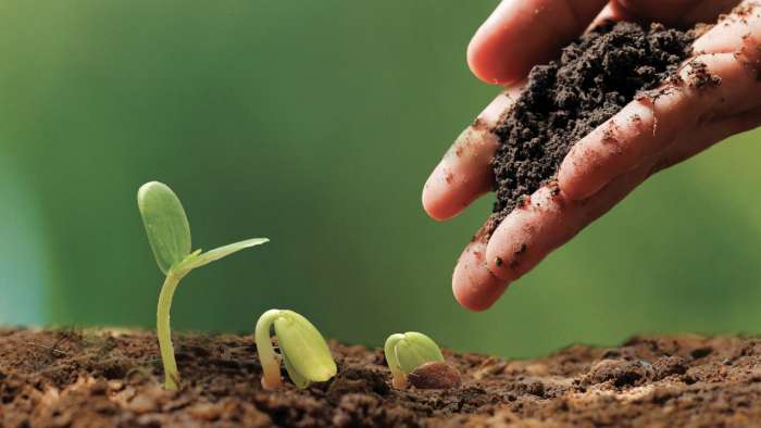 La souverainete alimentaire - La souveraineté alimentaire, le chemin le plus sûr vers la prospérité de l’Afrique