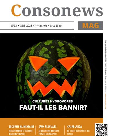 MGCN33 1 393x470 - Numéro 33 - Mai 2023