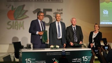 siam 2023 1 390x220 - SIAM 2023 : Lancement des premières Alliances Productives au Maroc
