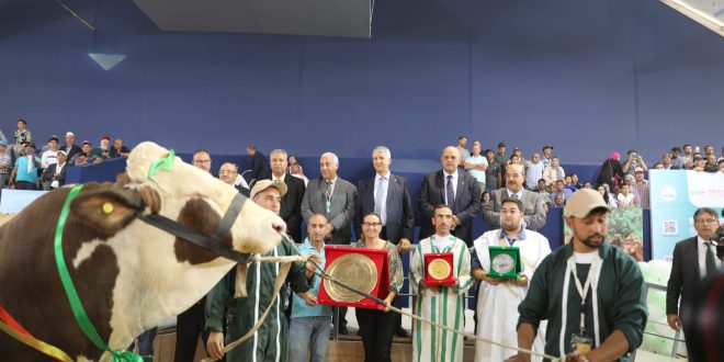 siam eleveurs maroc 660x330jpeg - La cérémonie de remise des prix des concours visant à sélectionner les meilleurs animaux de l'élevage SIAM 2023 a eu lieu