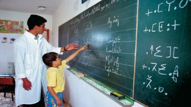 Enseignement primaire : généralisation progressive de l’Amazighe dès la rentrée 2023/2024 amazigh enseignement 390x220 - Enseignement primaire : généralisation progressive de l’Amazighe dès la rentrée 2023/2024