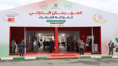 fruits rouges e1686215315135 390x220 - Lancement à Kénitra du quatrième Festival international des fruits rouges