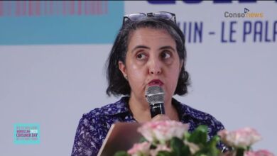 Saadia Zoheir RSE le cas INDH INMAE de Lydec  390x220 - Vidéo ...  Saâdia Zoheir - RSE, le cas INDH-INMAE de Lydec