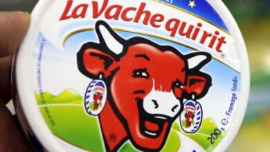 la vache qui rit 390x220 - Séisme/Solidarité : Fromageries Bel effectue donne un million de portions La Vache qui rit et 2 millions Dhs au Fonds