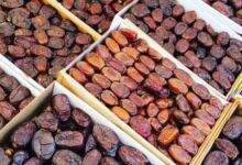 Datte t 220x150 - Palmier dattier : le retour des pluies redonne espoir à la marche vers l’autosuffisance