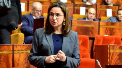 Ghita Mezzour Parlement 3 390x220 - Stratégie "Maroc Digital 2030": 240 MDH pour stimuler l'innovation et soutenir les startups marocaines (Mme Mezzour)
