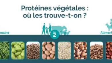 alim poteine 390x220 - La consommation de protéines végétales par les humains a diminué de 1,8% en 2022.
