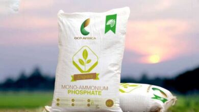 engrais ocp 390x220 - Engrais: l'OCP dans le top 5 des producteurs mondiaux