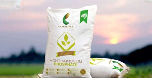 engrais ocp 600x308 - Sécurité alimentaire: OCP Africa présente à Nairobi ses solutions