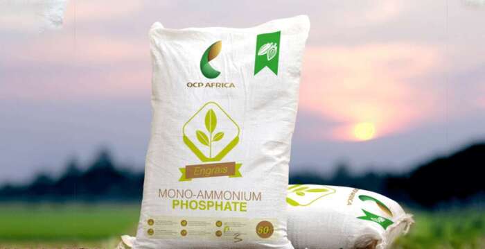 engrais ocp - Engrais: l'OCP dans le top 5 des producteurs mondiaux