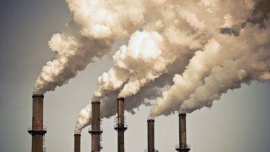 65199bf10aee1 taxe carbone 390x220 - Le Maroc ambitionne d'instaurer sa propre taxe carbone