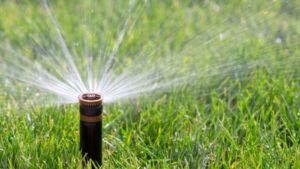 5YKJETNFSJCMPK65F5IOIQGGNU 300x169 - 5YKJETNFSJCMPK65F5IOIQGGNU