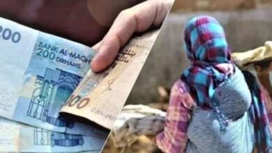 6M6ZpwtjtG6SpnuE9fdB7k 390x220 - Aides sociales directes : la plateforme dédiée compte désormais plus d'un million de foyers inscrits