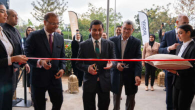 Jaquar + Pernova célèbre l’inauguration de son nouveau showroom à Casablanca ICEBERG 00335 390x220 - Jaquar + Pernova célèbre l’inauguration de son nouveau showroom à Casablanca