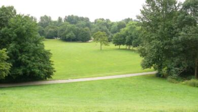 Revierpark Nienhausen 5 390x220 - Casablanca : La fin du désordre dans la gestion des espaces verts