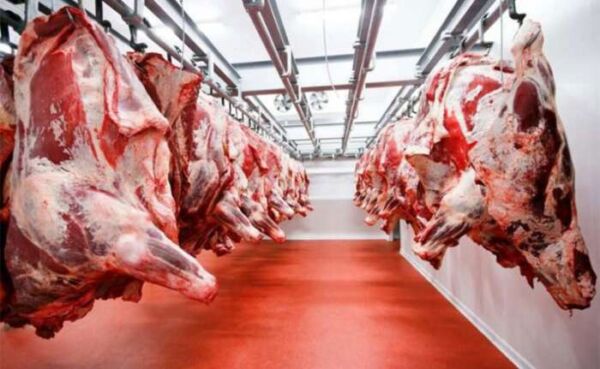 fee4f544fe31d098296e51d642a875ed XL 600x369 - Benslimane : Confiscation de quatre tonnes de viande non conforme à la consommation