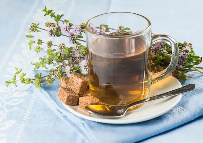 manzanilla o poleo para el estomago 1700825876087 1280 - Camomille ou menthe pouliot : Quelle infusion est la plus bénéfique pour apaiser votre estomac ?