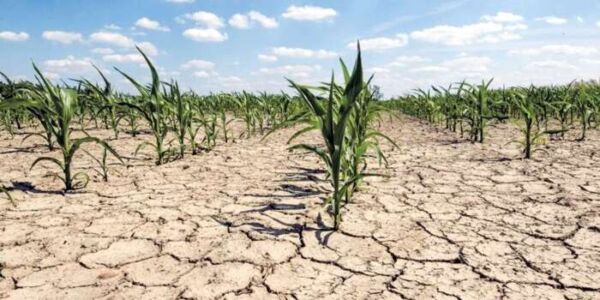 secheresse 600x300 - Emplois agricoles: plus de 816 000 postes détruits entre 2018 et 2023!