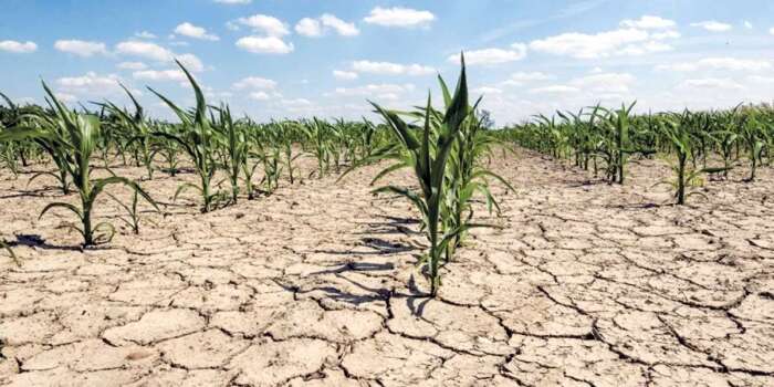 secheresse - Emplois agricoles: plus de 816 000 postes détruits entre 2018 et 2023!