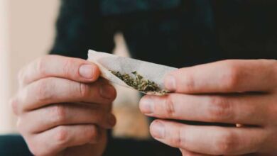 cannabis 390x220 - L'Allemagne franchit le pas et légalise la consommation de cannabis récréatif