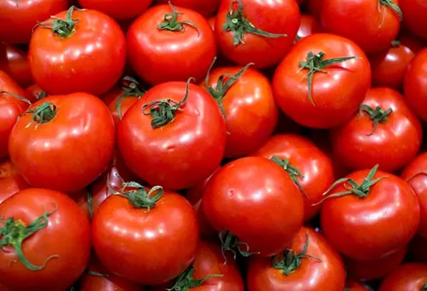 tomates 600x410 - Tomates: le Maroc désormais premier fournisseur de l’UE