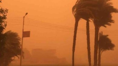 Fortes rafales de vent et chasse-poussières : ADM appelle les usagers des autoroutes à faire preuve de vigilance rafales vents 390x220 - Fortes rafales de vent et chasse-poussières : ADM appelle les usagers des autoroutes à faire preuve de vigilance