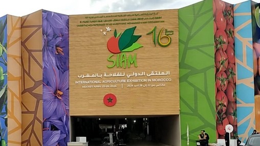 SIAM 2024 2 - SIAM, la foire agricole “la plus prestigieuse” d’Afrique du Nord (ministère espagnol)
