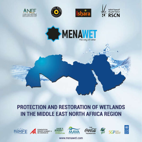 Lancement officiel du projet MENAWET Visuel Anglais 600x600 - Lancement officiel du projet MENAWET