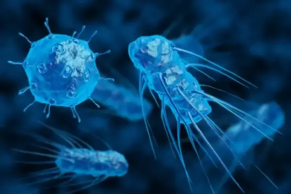 bacteries 600x400 - Bactéries résistantes aux médicaments: l’OMS publie une nouvelle liste, actualisée