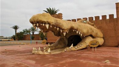 Crocoparc Agadir recevra 16 spécimens de crocodiles provenant de l’aquarium Aquatis de Lausanne crocodile agadir 390x220 - Crocoparc Agadir recevra 16 spécimens de crocodiles provenant de l’aquarium Aquatis de Lausanne