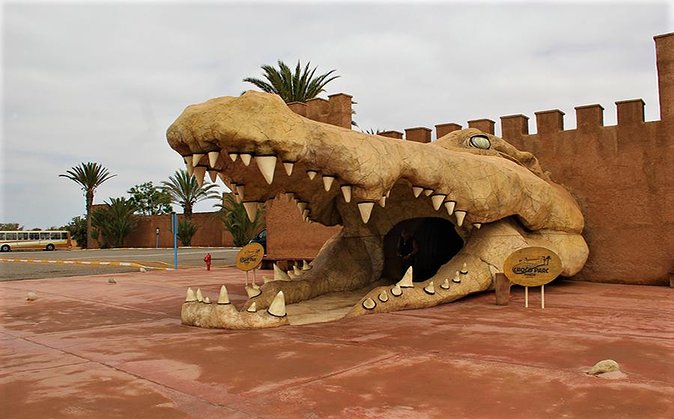 crocodile agadir - Crocoparc Agadir recevra 16 spécimens de crocodiles provenant de l’aquarium Aquatis de Lausanne
