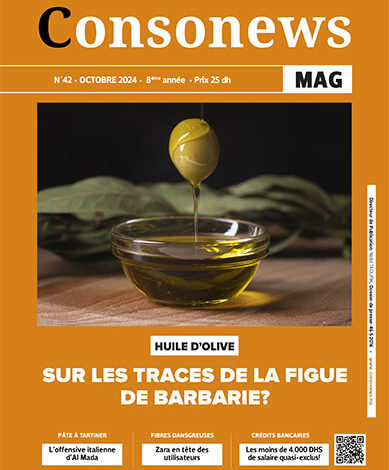 MGC N 42 389x470 - Numéro 42 – Octobre 2024