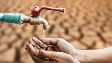 eau potable stress hydrique 390x220 - Stress et rareté hydrique ... A qui la faute?