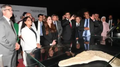 Casablanca: Ouverture de l’exposition de fossiles archéologiques restitués au Maroc à l'espace archéologique Sidi Abderrahmane exposition archeologique 390x220 - Casablanca: Ouverture de l’exposition de fossiles archéologiques restitués au Maroc à l'espace archéologique Sidi Abderrahmane