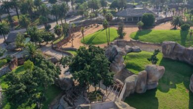 DJI 0093 390x220 - Aïn Sebaa : Le Zoo de Casablanca verra le jour en Juin 2025