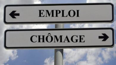 cdn4 premiumread 390x220 - Un programme gouvernemental pour l'intégration des jeunes NEET au marché de l'emploi
