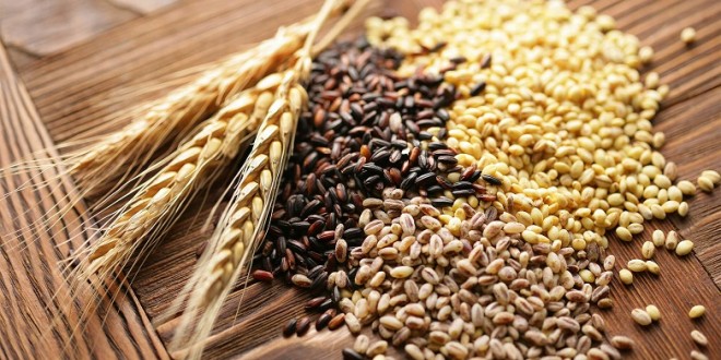cereales maroc - Millcorp Genève accélère sa croissance au Maroc et en Afrique