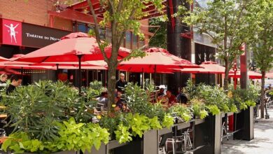 notre terrasse 390x220 - Casablanca uniformise ses terrasses : un projet controversé