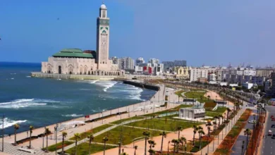 ottes dhercule 23 390x220 - Casablanca se réinvente : des bus touristiques pour redynamiser la ville