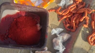 viande saisie Ksar El Kebir3 390x220 - Saisie de viandes et saucisses avariées à Ksar El Kebir