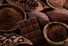 chocolat noir banniere 220x150 - Chocolat : un plaisir mondial… mais des écarts de consommation très marqués