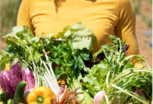 legumes bio 220x150 - France: après vingt ans d’essor, la consommation de fruits et légumes bio marque le pas