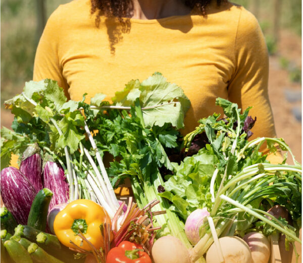 legumes bio 600x522 - Produits biologiques : la consommation repart à la hausse en France