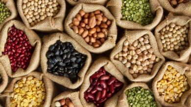 sac de legumineuses 390x220 - Fès : La hausse des prix des légumineuses impacte la consommation hivernale