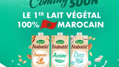 474916313 593836376610282 4907698744193885772 n 390x220 - NABATLÉ : Une révolution végétale 100 % marocaine !