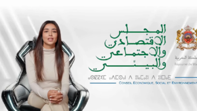 Le CESE lance Rouya son premier avatar 390x220 - Une première au Maroc : le CESE recrute "Rouya", un avatar pour moderniser sa communication