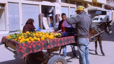 les marchands ambulants Maroc 390x220 - Casablanca en ébullition face aux marchands ambulants