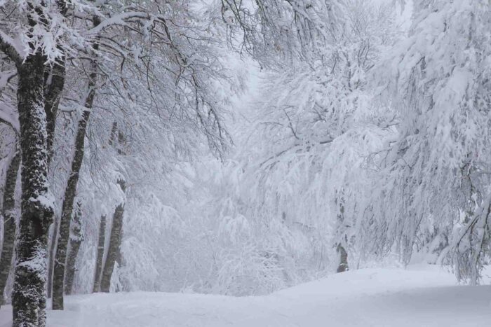neige scaled - Chutes de neige et fortes averses parfois orageuses, mardi et mercredi, dans plusieurs provinces