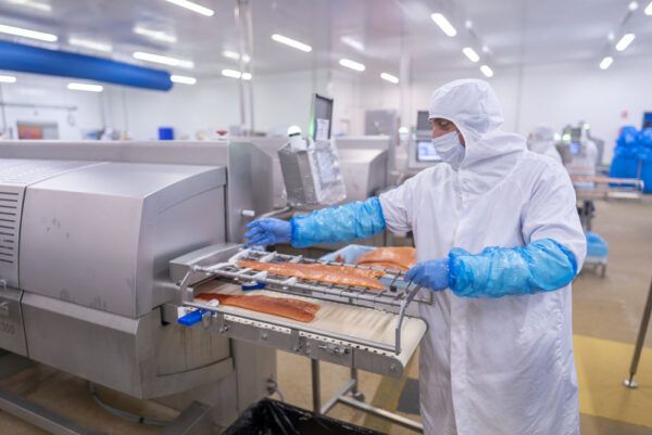 produits de la mer 600x401 - Transformation des produits de la mer : Le Maroc en voie de devenir un hub international (Mme Driouch)