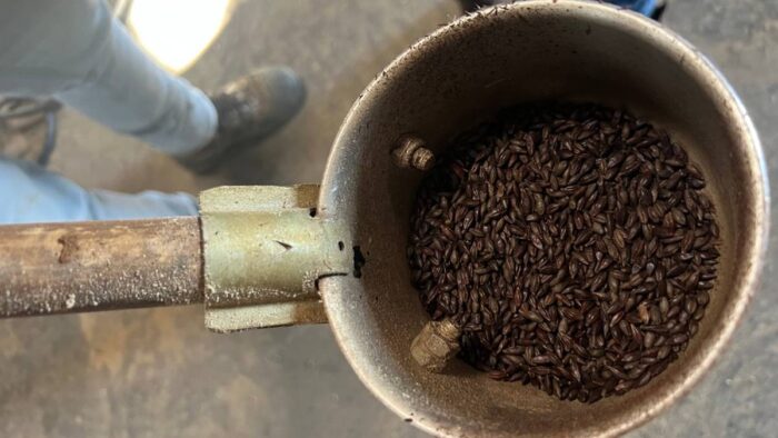 maltafe scaled - Le maltafé, une alternative sans caféine au café?